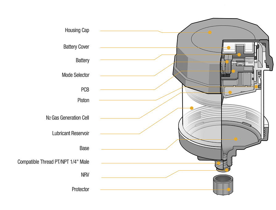 Cross-section